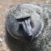 Profile Picture of Michael Cheetham (@michaeljcheetham) on Pinterest