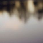 Profile Picture of Nassima Rothacker (@nassima.rothacker) on Instagram