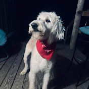 Profile Picture of Daniel Stephens (@DanielStephens23) on Youtube