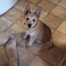 Profile Picture of Rhonda Clausen (@rhonda.clausen.12) on Facebook