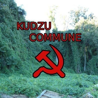 Profile Picture of Kudzu Commune (@kudzucommune) on Twitter