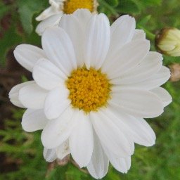 Profile Picture of Alex Jagger (@livecrazylife1) on Twitter