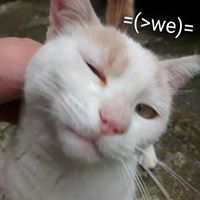 Profile Picture of Nicholas Alejandro Vilches Barrientos (@nicholasvilches) on Pinterest