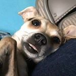 Profile Picture of Greg (@stormy_edge321) on Instagram