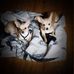 Profile Picture of Roberta Westerfield (Roberta Gilliam) (@roberta.westerfield) on Facebook
