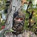 Profile Picture of Rennard Roark (@rennard.roark.9) on Facebook