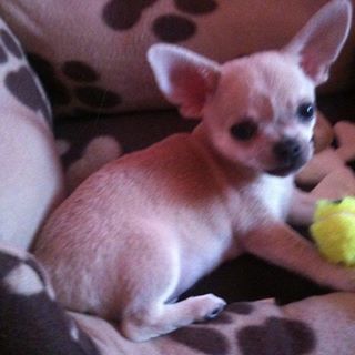 Profile Picture of Chico Carrey (@chico.carrey) on Facebook