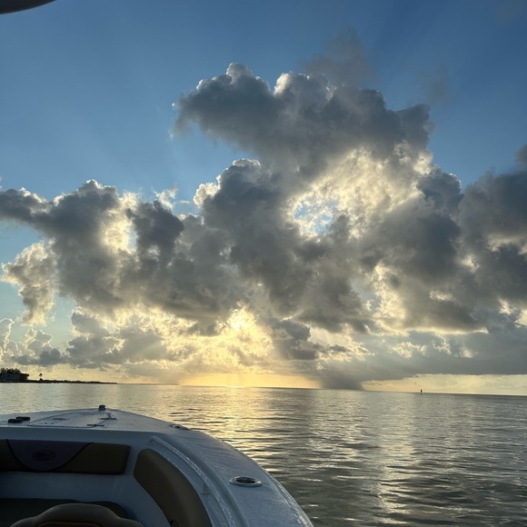 Daniela Brito - Poshmark Profile Picture of Daniela Brito (@dani_uchia) on Poshmark