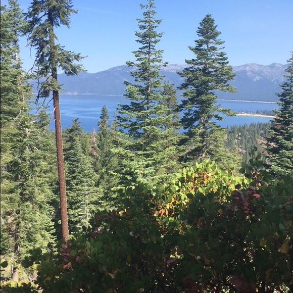 Kourtney Sidener - Poshmark Profile Picture of Kourtney Sidener (@kourtneyjoy22) on Poshmark