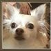 Profile Picture of Dennis Swires (@dennis.swires.5) on Facebook