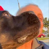 Profile Picture of Joe Palomba  (@joe-palomba-1) on Quora