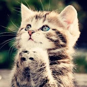 Profile Picture of Xing Xiao (@xingxiao2642) on Youtube