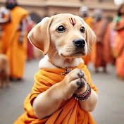 Profile Picture of Prashanth Gowda (@prashanthgowda777) on Youtube