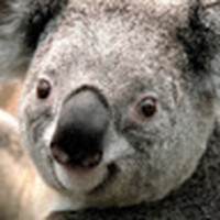 Profile Picture of Omar Wallace (@omar-wallace-6) on Quora