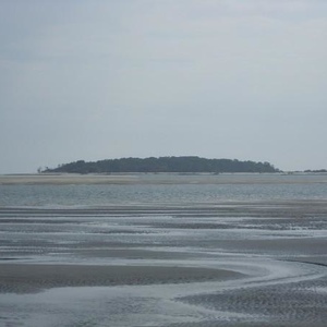 Profile Picture of David Byous (@davidbyous) on Myspace