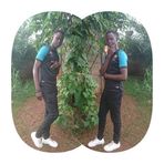 Profile Picture of Alice Bello (@Alice-Bello) on Facebook