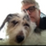 Profile Picture of James Barber (@Mr James Barber) on Flickr