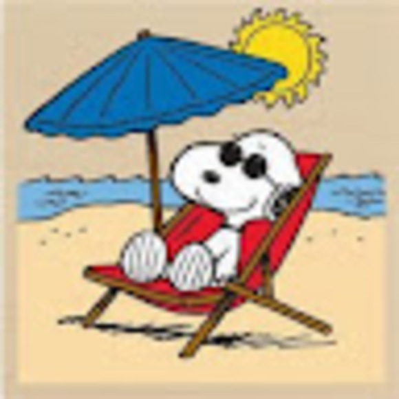 Profile Picture of Rhodel Peterson-medeiros (@rpm103) on Poshmark