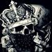Profile Picture of Christian Coppler (@christiancoppler) on Pinterest