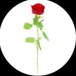 Profile Picture of Alexandra Smith (@reallyalexrose) on Instagram