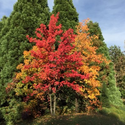 Profile Picture of Christine Bord Le Tallec (@cbordletallec) on Twitter