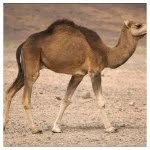 Profile Picture of Andrew Konkel (@andrewkonkel_) on Instagram