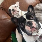 Profile Picture of Marcus Hepburn (@marcus.hepburn.5) on Facebook