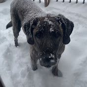 Julia Nickerson - Youtube Profile Picture of Julia Nickerson (@julianickerson2345) on Youtube