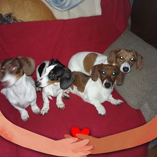 Profile Picture of Andrea Bilotta (@Andrea-Bilotta) on Facebook