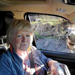 Profile Picture of Donna Larson (@donna.larson.1840) on Instagram