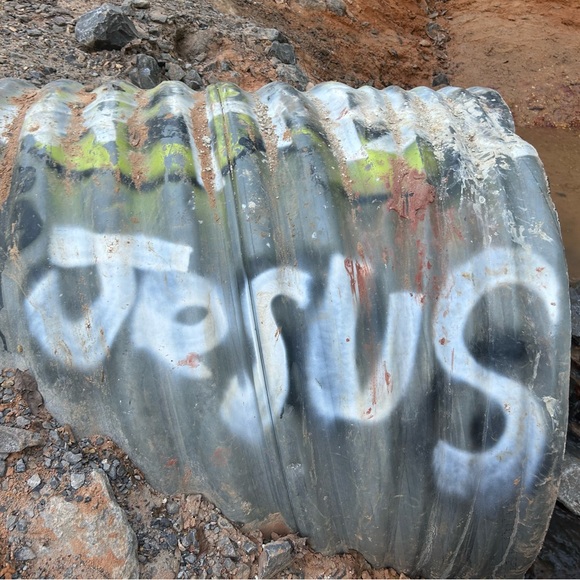 Profile Picture of Alyssa Scroggins (@alyssascrogg254) on Poshmark