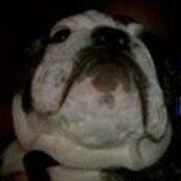 Profile Picture of Max Ponce (@max-ponce-1) on Quora