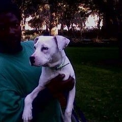 Profile Picture of Raymond Nedd (@262681662) on Myspace