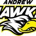 Profile Picture of Andrew School (@andrewschools) on Pinterest