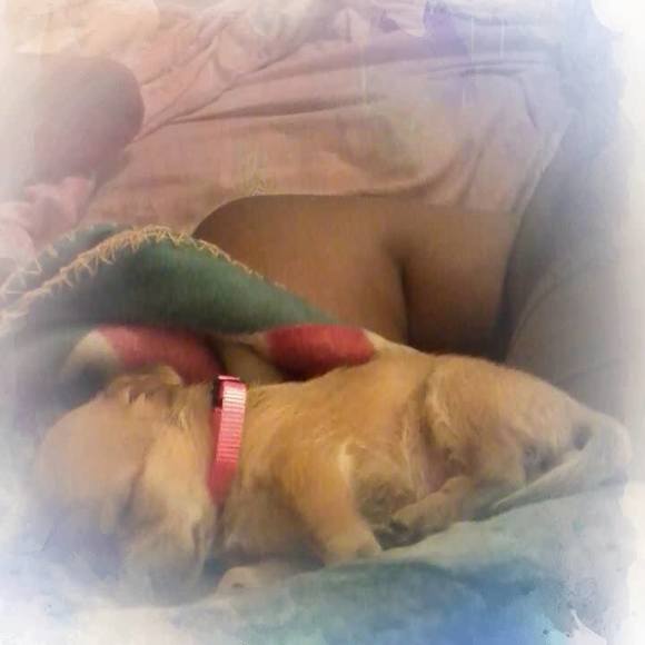 Profile Picture of Shadimond Blacherry (@shadimond) on Poshmark