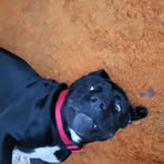 Profile Picture of Timothy James Soderman (@timothyjames.soderman) on Facebook