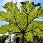 Profile Picture of kevin wood (@kevr124) on Flickr