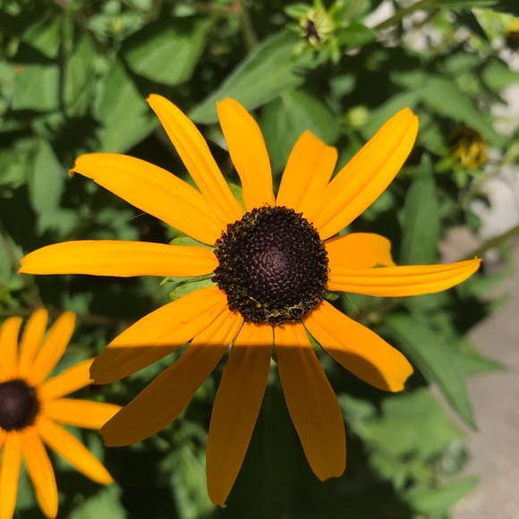 Profile Picture of Ruby Garrison (@ru_gar) on Poshmark