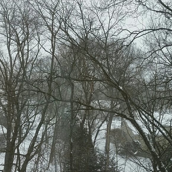 Profile Picture of Alda Srour (@aldas) on Poshmark