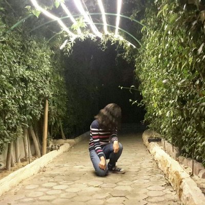 Profile Picture of Haneen Ahmed 74 (@Haneenahmed669) on Twitter