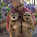 Profile Picture of Jesse Tran (@jessetran6666) on Instagram