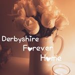 Profile Picture of Janet Derbyshire (@derbyshireforeverhome) on Instagram