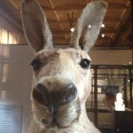 Profile Picture of John Stanier (@jdstanierjr) on Instagram