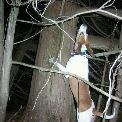 Profile Picture of Curt Schneider (@schneider_curt) on Twitter