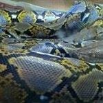 Profile Picture of Adrian Bruce (@adrian.bruce) on Instagram