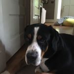 Profile Picture of Andrew Kiewel (@kiewelandrew) on Instagram