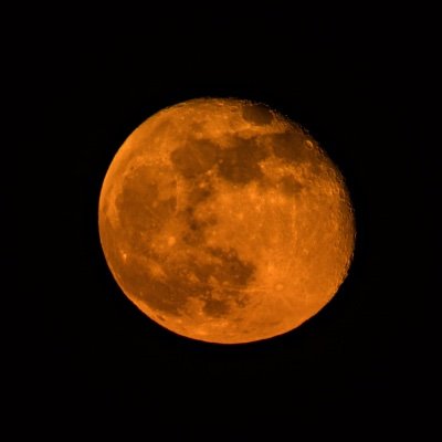 Profile Picture of Brian Scholfield (@B_Scholfield1) on Twitter