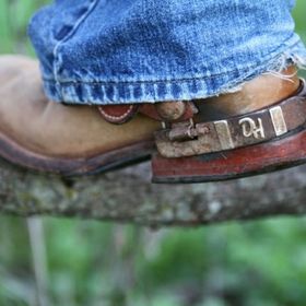 Profile Picture of David Hayden (@davidhayden7) on Pinterest