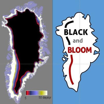 Black And Bloom 2015-2020 - Twitter Profile Picture of Black And Bloom 2015-2020 (@Glacier_Albedo) on Twitter