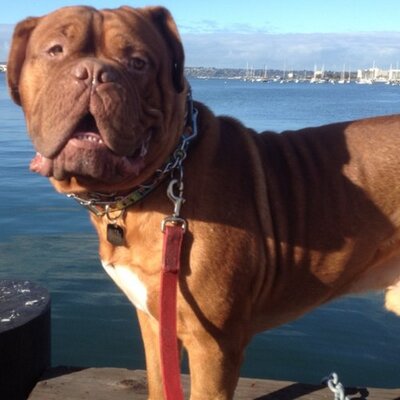 Profile Picture of Doug Formby (@dougformby) on Twitter